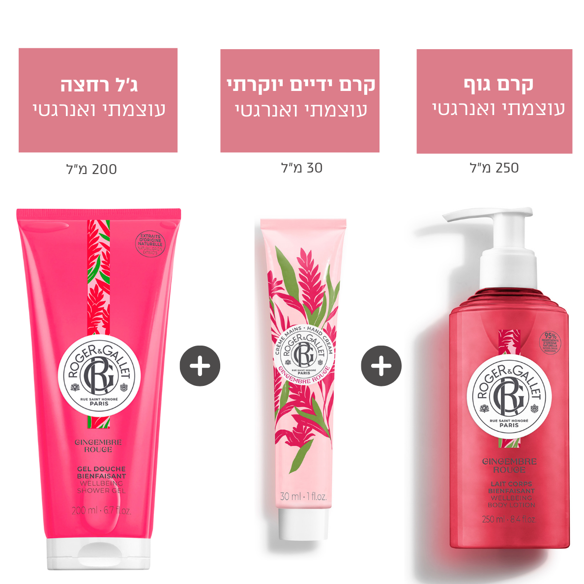 ‎⁨רוז'ה גלה  ג'ינג'ר ברי מעורר חושים⁩